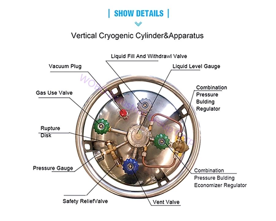 1000L 2.8MPa Vertical Horizontal High Pressure Cryogenic Liquid Dewar Cylinder